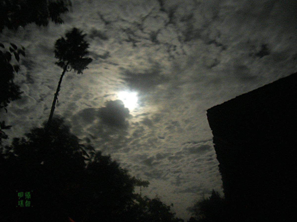 SDC15892_副本_副本.JPG