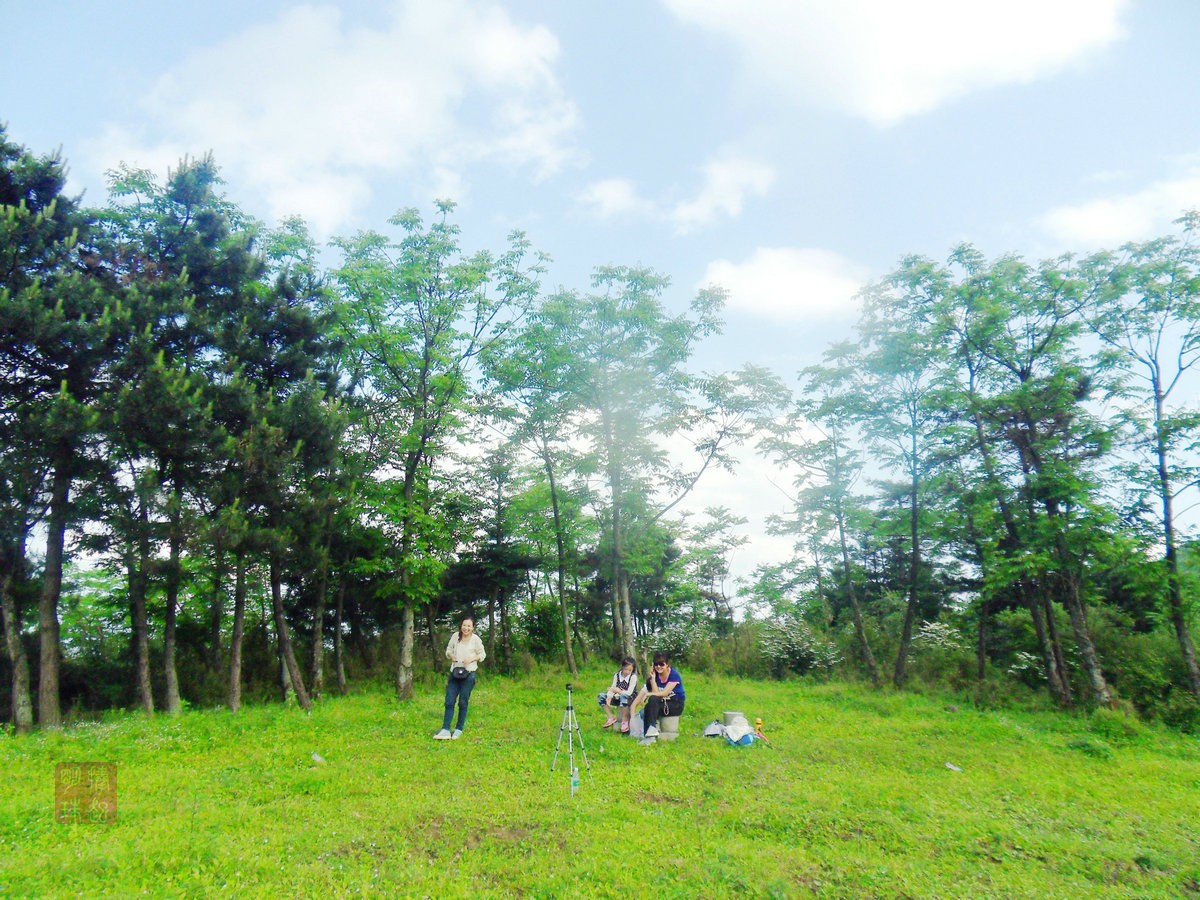 SDC17717_副本.JPG