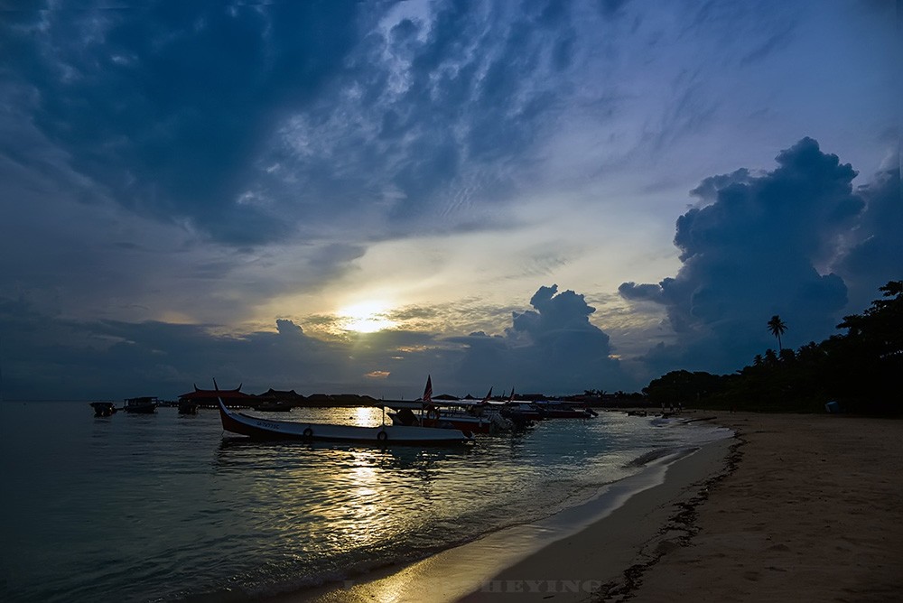 DSC_2490.jpg