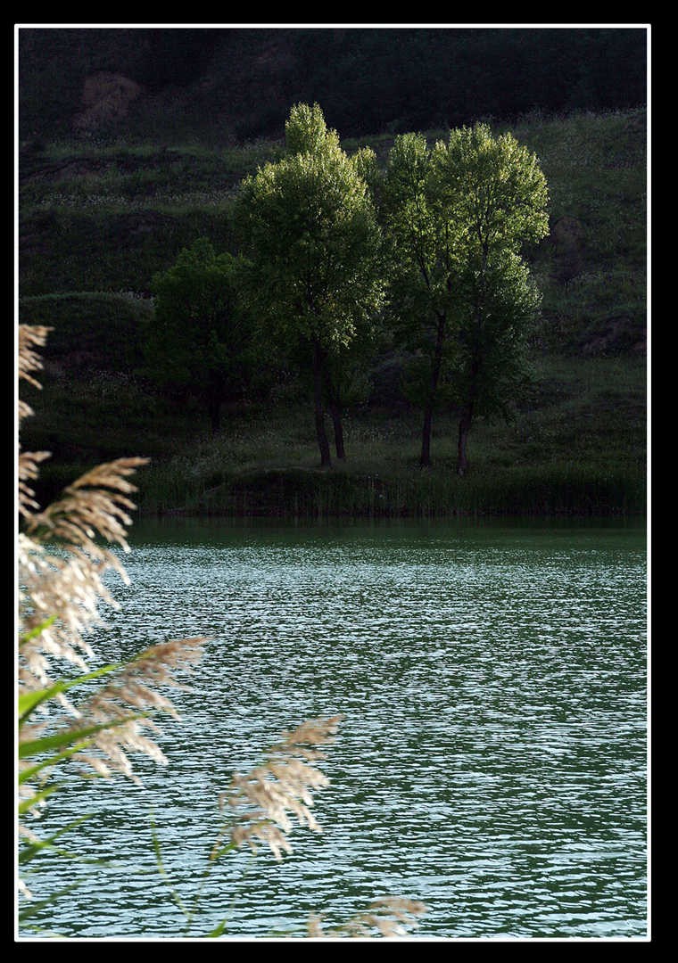 湖水荡漾.jpg