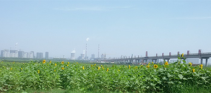 20150701_112114_副本.jpg
