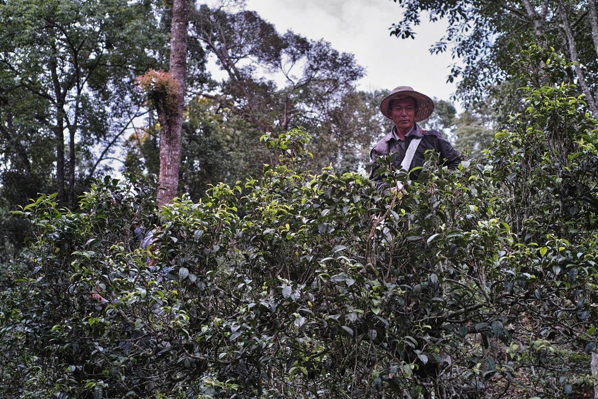 DP2M5648_副本 - 副本.jpg