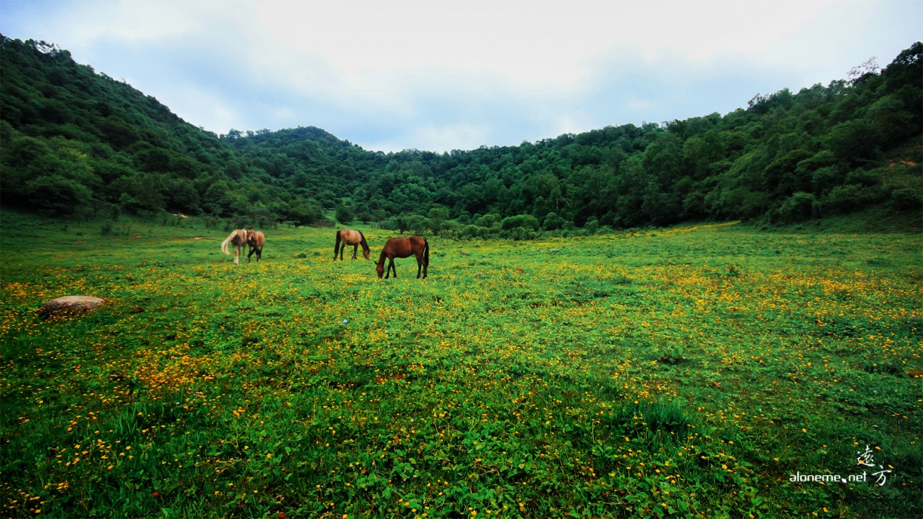风景2.jpg