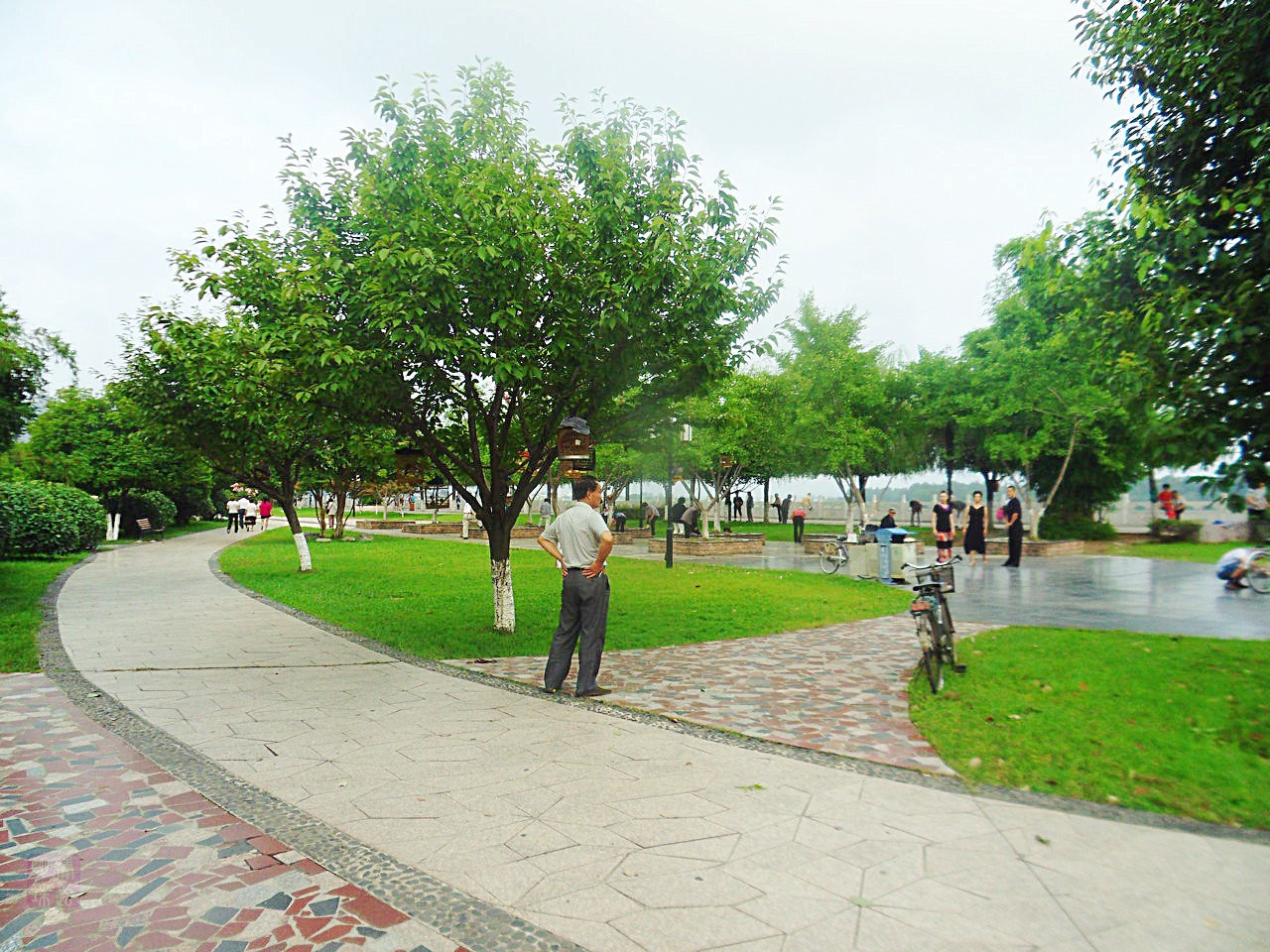 SDC10646.JPG
