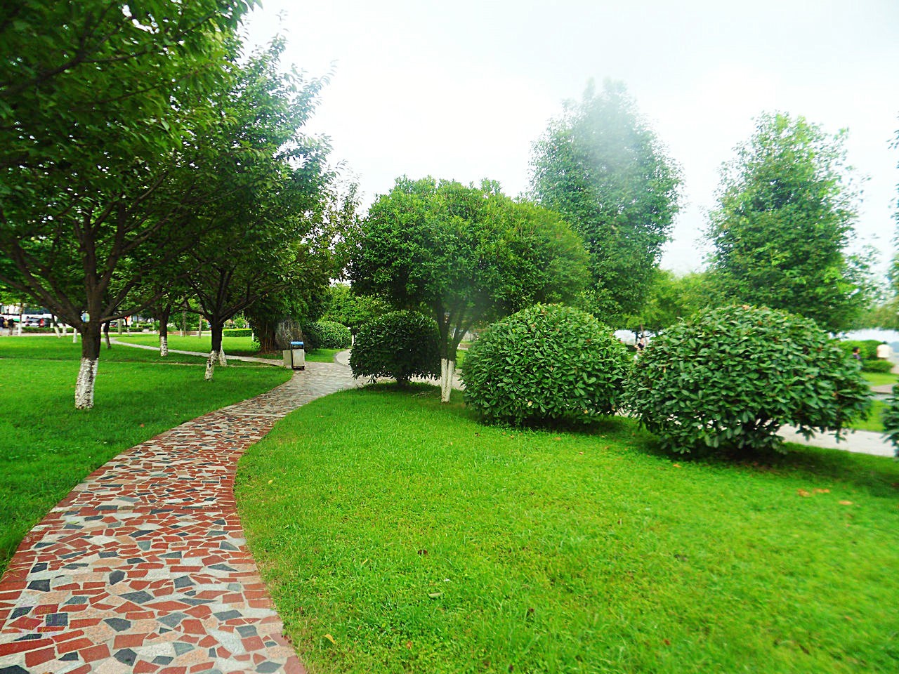 SDC10645.JPG