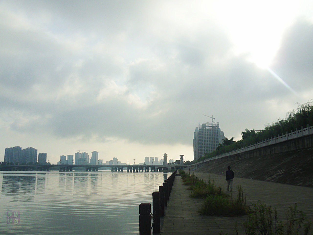 SDC10665.JPG