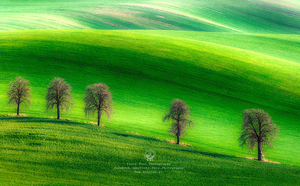 afee0ee0b19a3c2951e7506f54fc198f.jpg