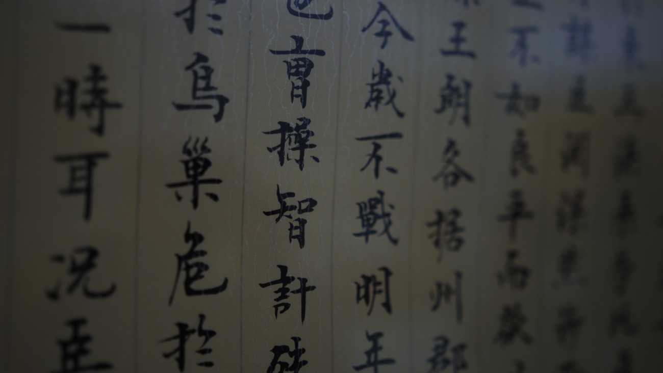 IMGP2781.jpg