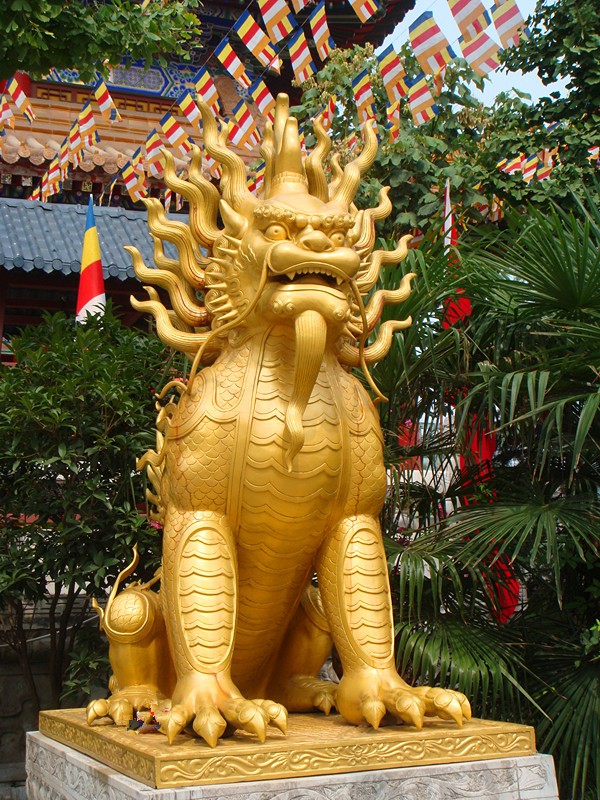DSC00769_副本.jpg