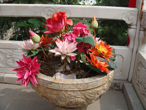 DSC00767_副本.jpg