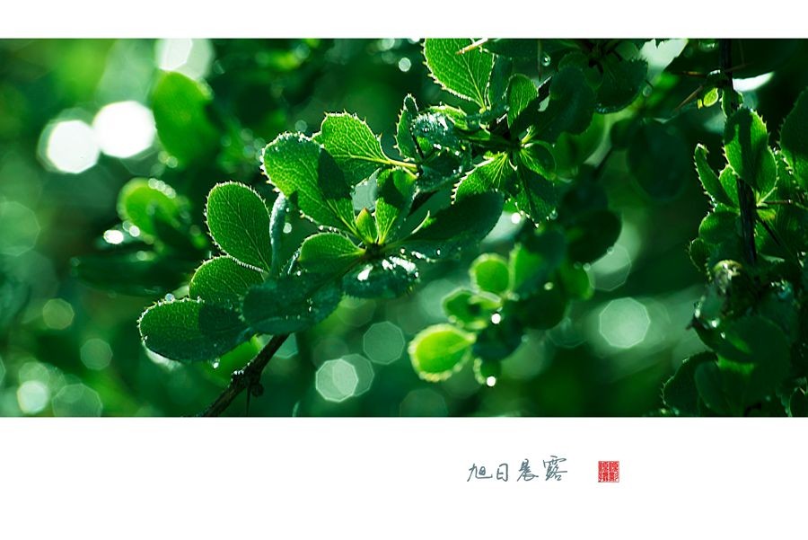 _DSC5959副本1_副本_副本.jpg