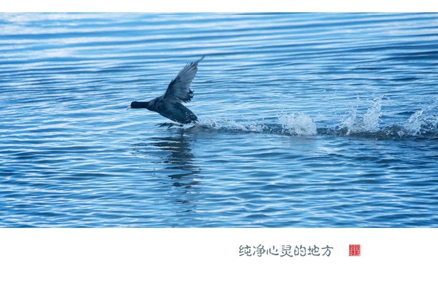 _DSC6123副本1_副本_副本.jpg