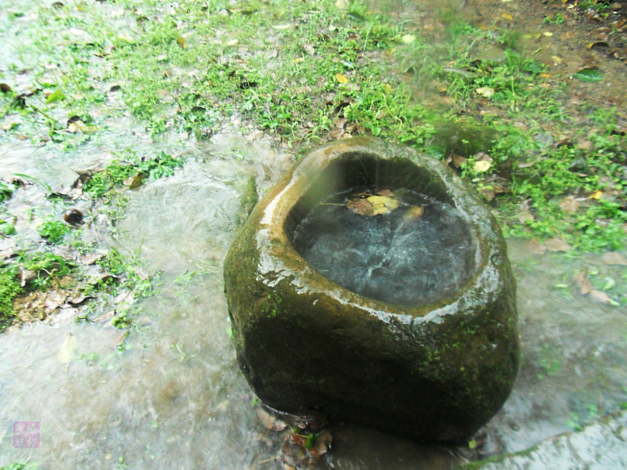SDC12457.JPG