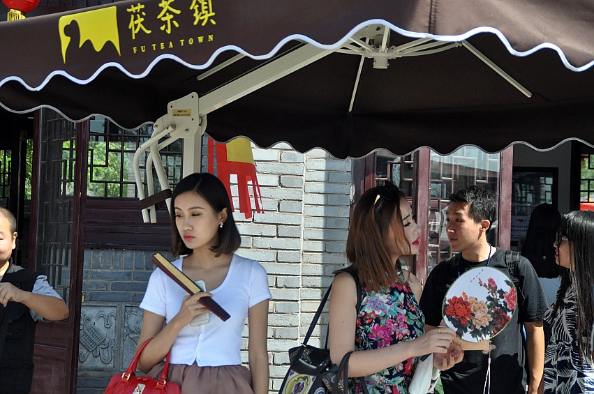 DSC_0022_conew1.jpg