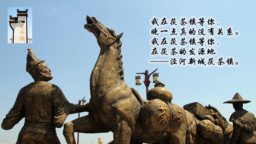 IMG_8469_副本.jpg