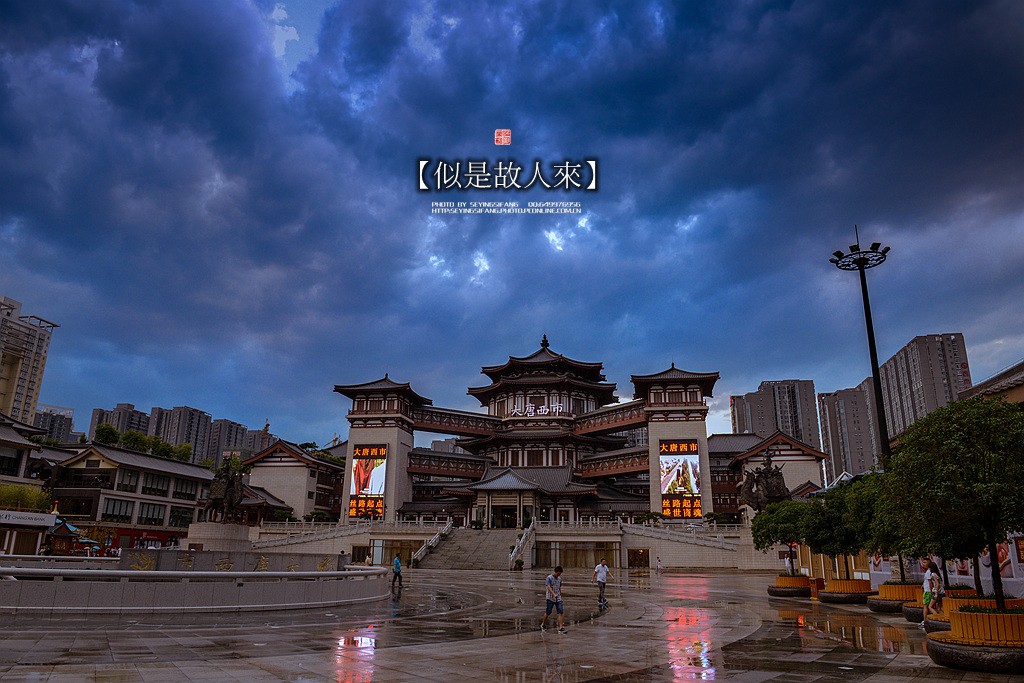 _DSC2688_副本.jpg