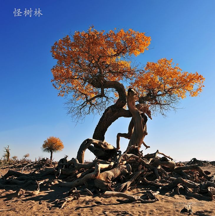 沿途风光19.jpg
