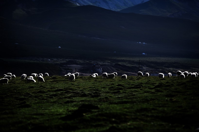 IMG_7763副本.jpg IMG_7763副本.jpg