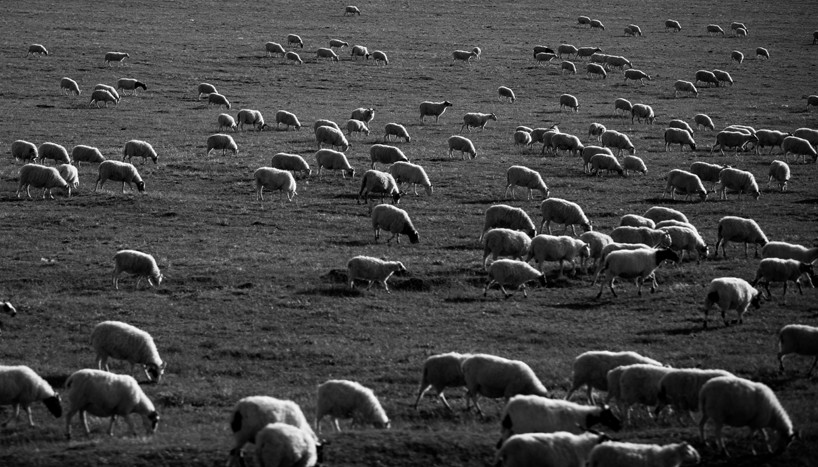 IMG_7771.jpg IMG_7771.jpg