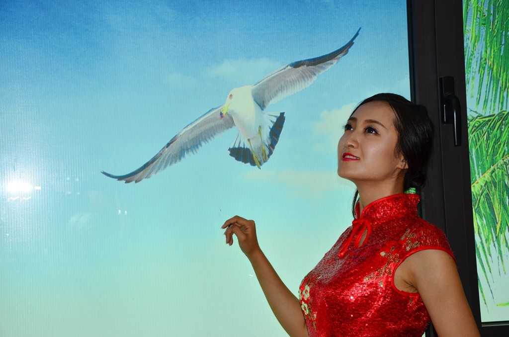 DSC_4922_副本.jpg
