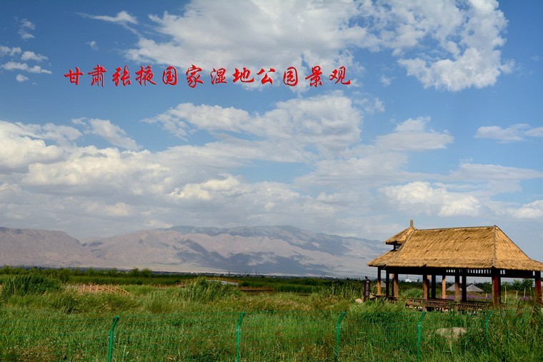 AAD_3955 副本.jpg