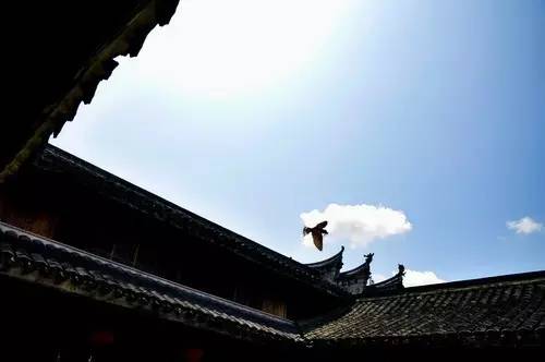 f7d2e066d3ce15aaf3856cec8124d37e.jpg f7d2e066d3ce15aaf3856cec8124d37e.jpg