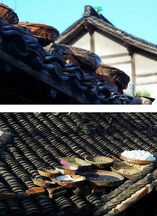 31b310559a545c818f7debed8a855492.jpg 31b310559a545c818f7debed8a855492.jpg