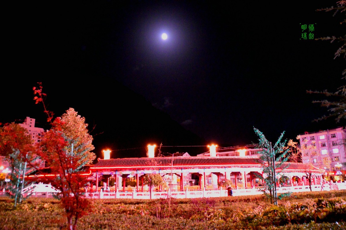 DSC_1011_副本.JPG