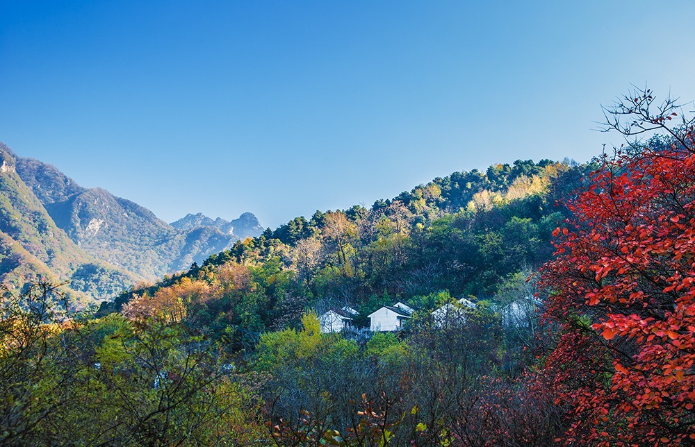HOU_5936.jpg