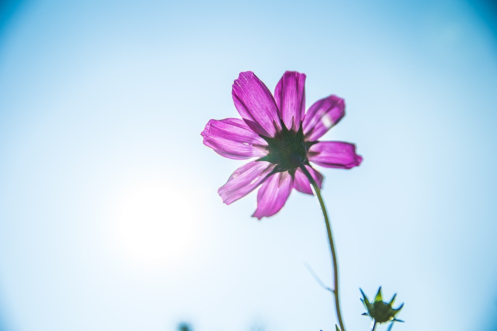 HOU_5834.jpg