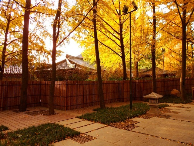 111207xrvg4rcrgr4jvlln.jpg