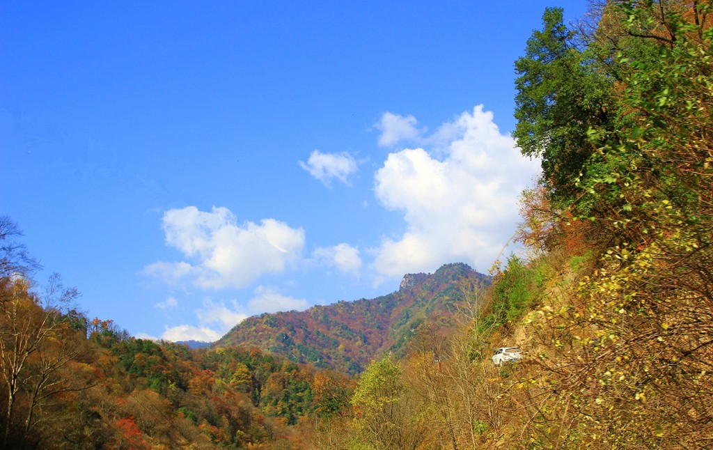 IMG_0266_副本_副本_副本_副本.jpg