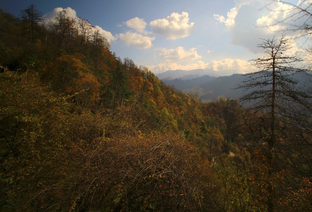 IMG_0308_副本_副本_副本.jpg