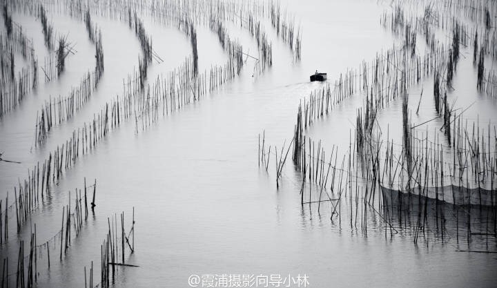 图片IMG_5475.JPG