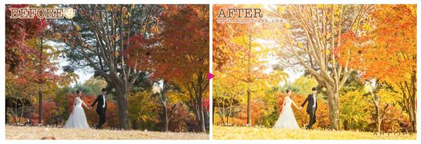 9ebc515a9a731900e076fe4e14378d13.jpg 9ebc515a9a731900e076fe4e14378d13.jpg