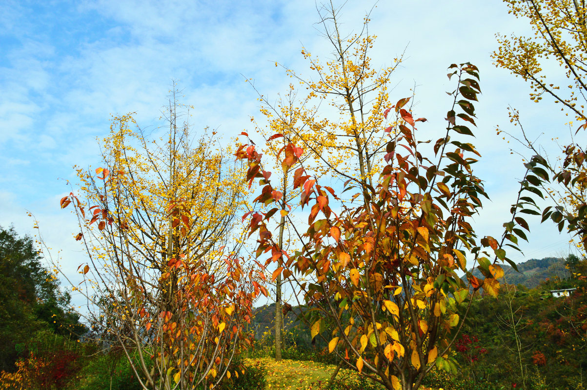DSC_1344.JPG