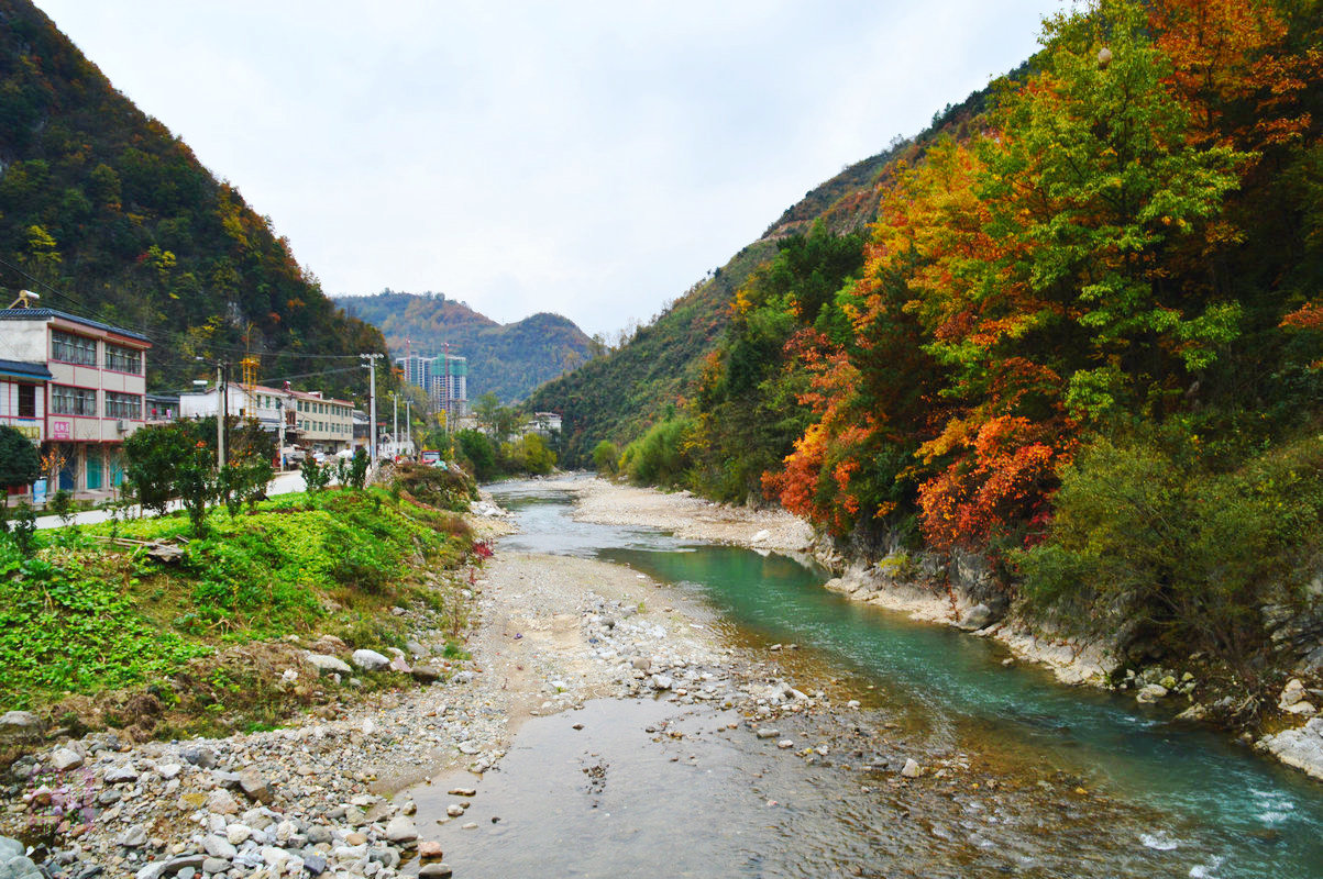 DSC_1460.JPG