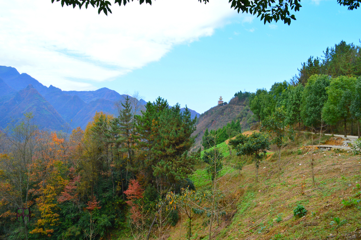 DSC_1582.JPG