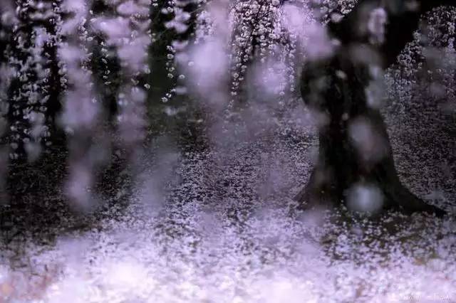 2cc5f6445c6b45c05f629bc969795d9b.jpg