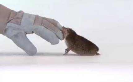 9bc4bbe097bce67e2370f7846e3c25b4.jpg 9bc4bbe097bce67e2370f7846e3c25b4.jpg