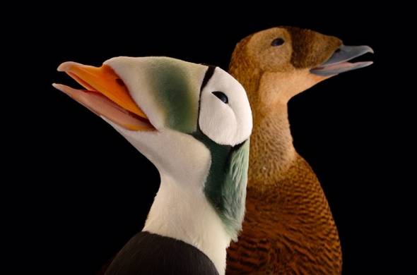 8ffc245f33f8d957c16b3b352dc34f70.jpg 8ffc245f33f8d957c16b3b352dc34f70.jpg