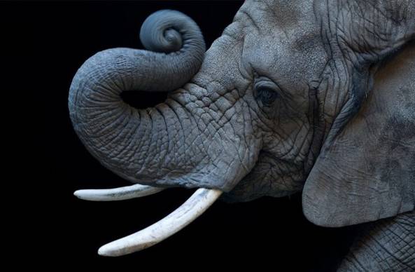 fb9e8420ffec1ab501e3324ddb79b7e5.jpg fb9e8420ffec1ab501e3324ddb79b7e5.jpg