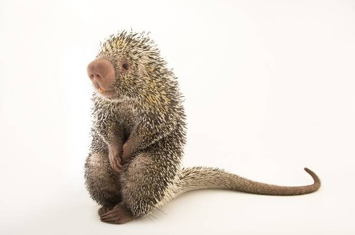 aafe95c06214cd79f5a7a197ed006159.jpg aafe95c06214cd79f5a7a197ed006159.jpg