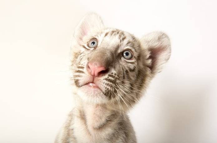 496fe9a82348acabfe17af506ea0b7d4.jpg 496fe9a82348acabfe17af506ea0b7d4.jpg