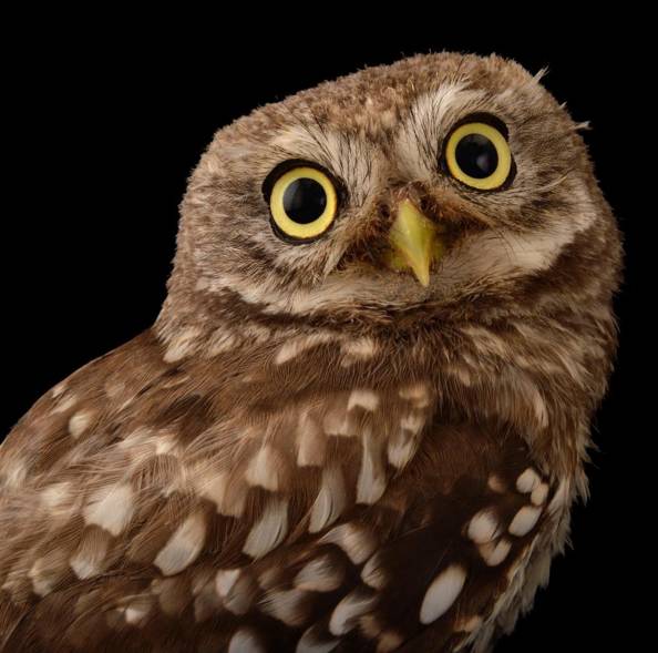 90d5788ecc47e42a0af65d15dad233cc.jpg 90d5788ecc47e42a0af65d15dad233cc.jpg