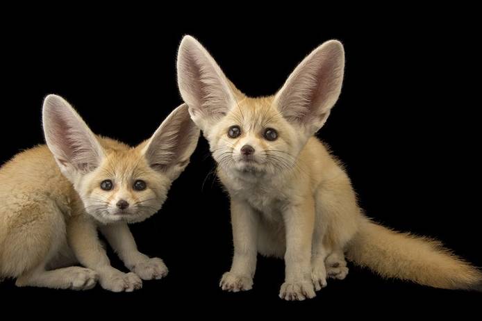 87f9640c78230d2d4e14e30ff88693f8.jpg 87f9640c78230d2d4e14e30ff88693f8.jpg