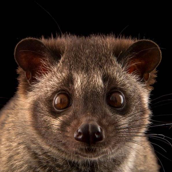 6456c1d2ea1fd1f6522fa3ccde1ea066.jpg 6456c1d2ea1fd1f6522fa3ccde1ea066.jpg