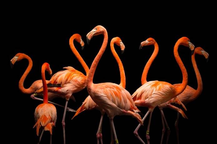 b2475ab938298e6532bf3a83fb64f6b9.jpg b2475ab938298e6532bf3a83fb64f6b9.jpg