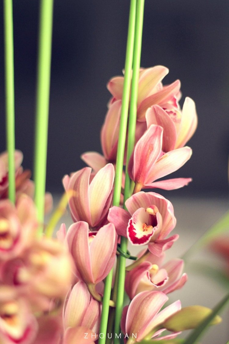 d7c4eb535849c0744902a5ebe7597aa9.jpg d7c4eb535849c0744902a5ebe7597aa9.jpg