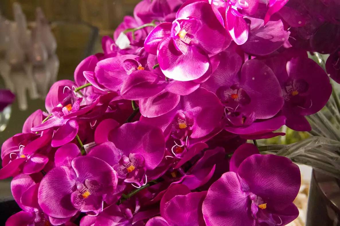 747018cefaf6657c97bc5bedbdbd8269.jpg 747018cefaf6657c97bc5bedbdbd8269.jpg